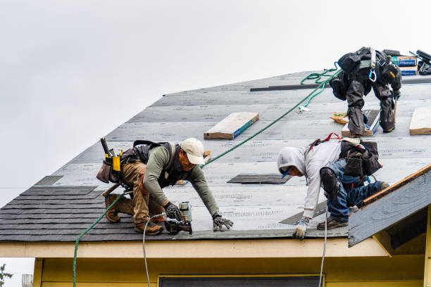 Professional Roofing technician working in Charlton City, MA